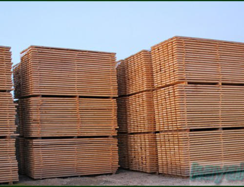 Ağaç Çeşitleri ve Kull. Yerler